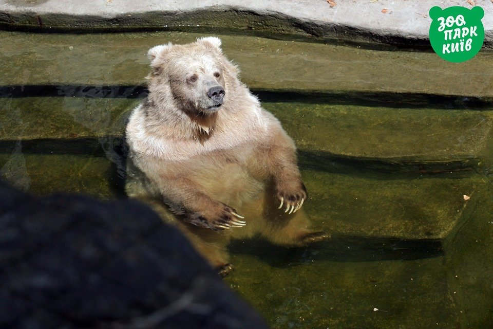 Хорош бассейн, да жаль, что без джакузи