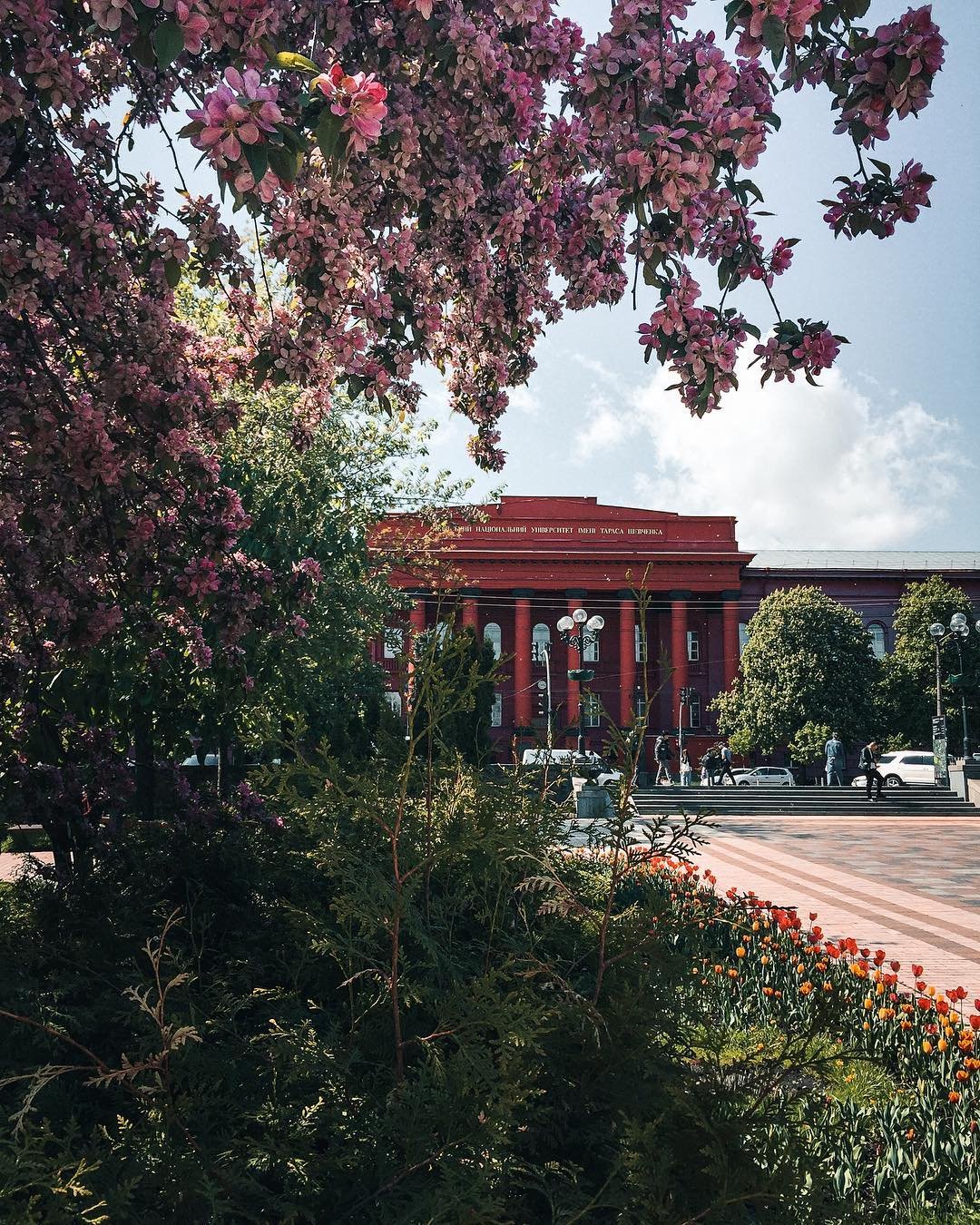 В парке Шевченко сейчас красота. Фото: @zhukevych