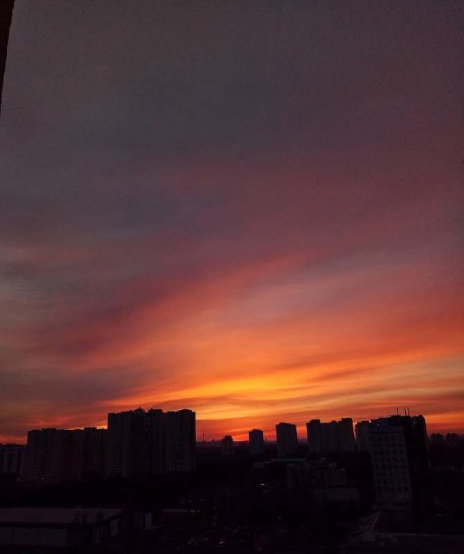 Таким рисовали закат в мультфильме "Король Лев". Таким мы видим его в реальной жизни. Один в один. Фото: @_dannaya_