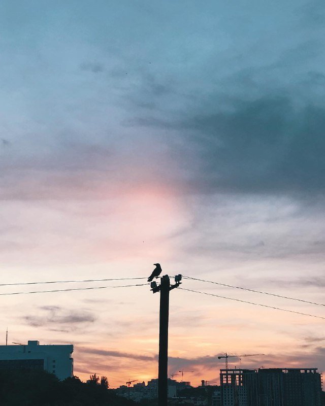 Краски мая - любимая палитра. Фото: @anastasiazi