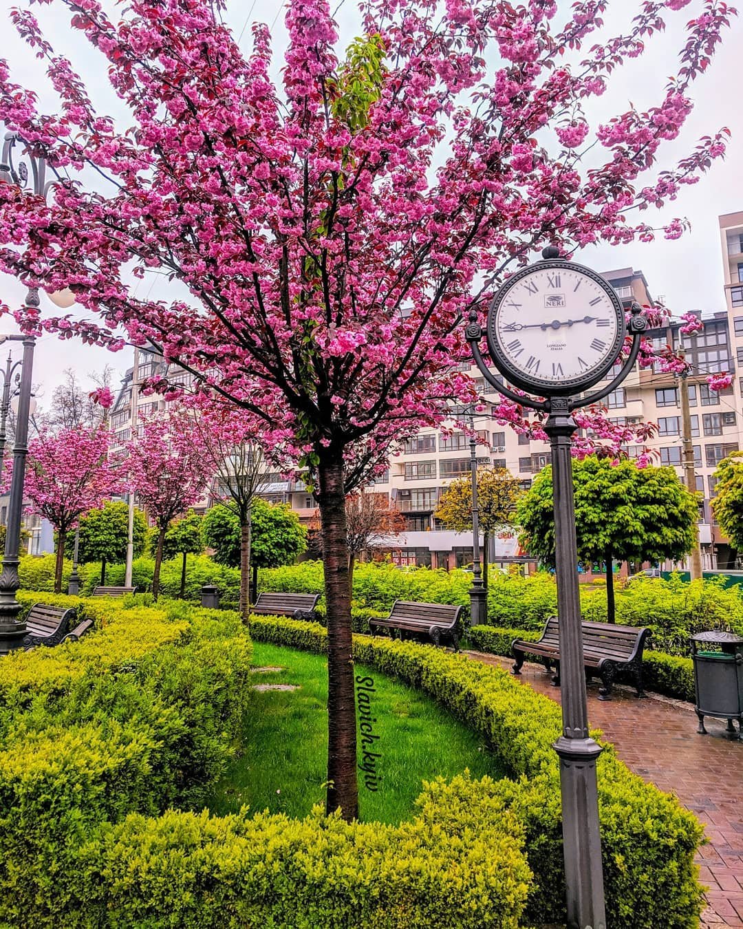 Сквер Гейдара Алиева как отдельная фотозона. Фото: @slavich.kyiv