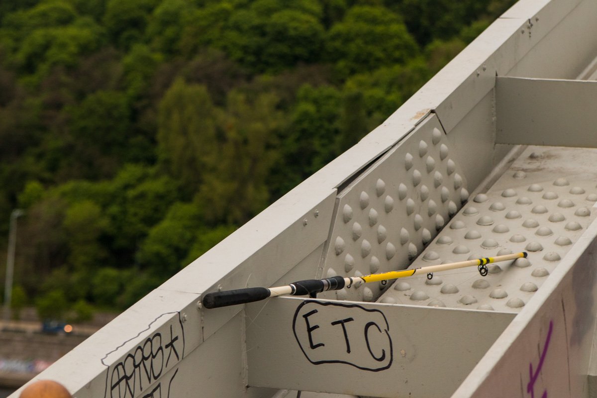 Кто-то сегодня будет есть рыбку