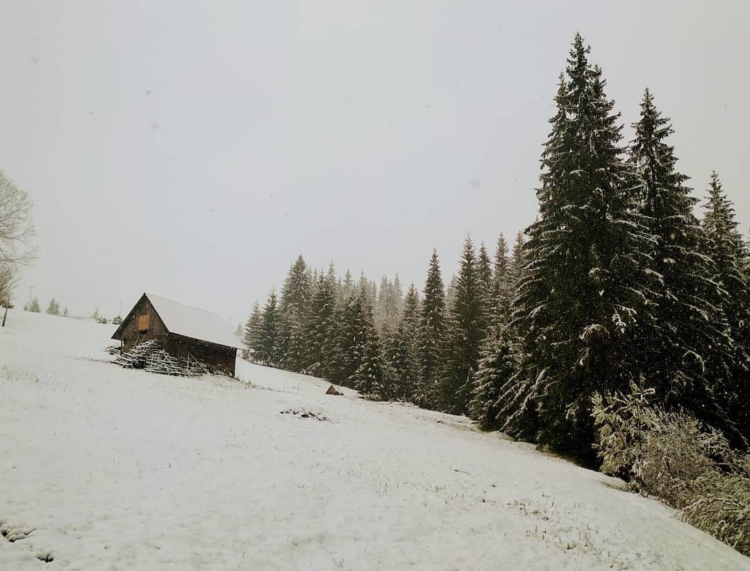 Это фото от @jazzxata уже успело облететь кучу новостных сайтов. И неудивительно, ведь здесь удалось запечатлеть настоящую зимнюю сказку, но только в мае