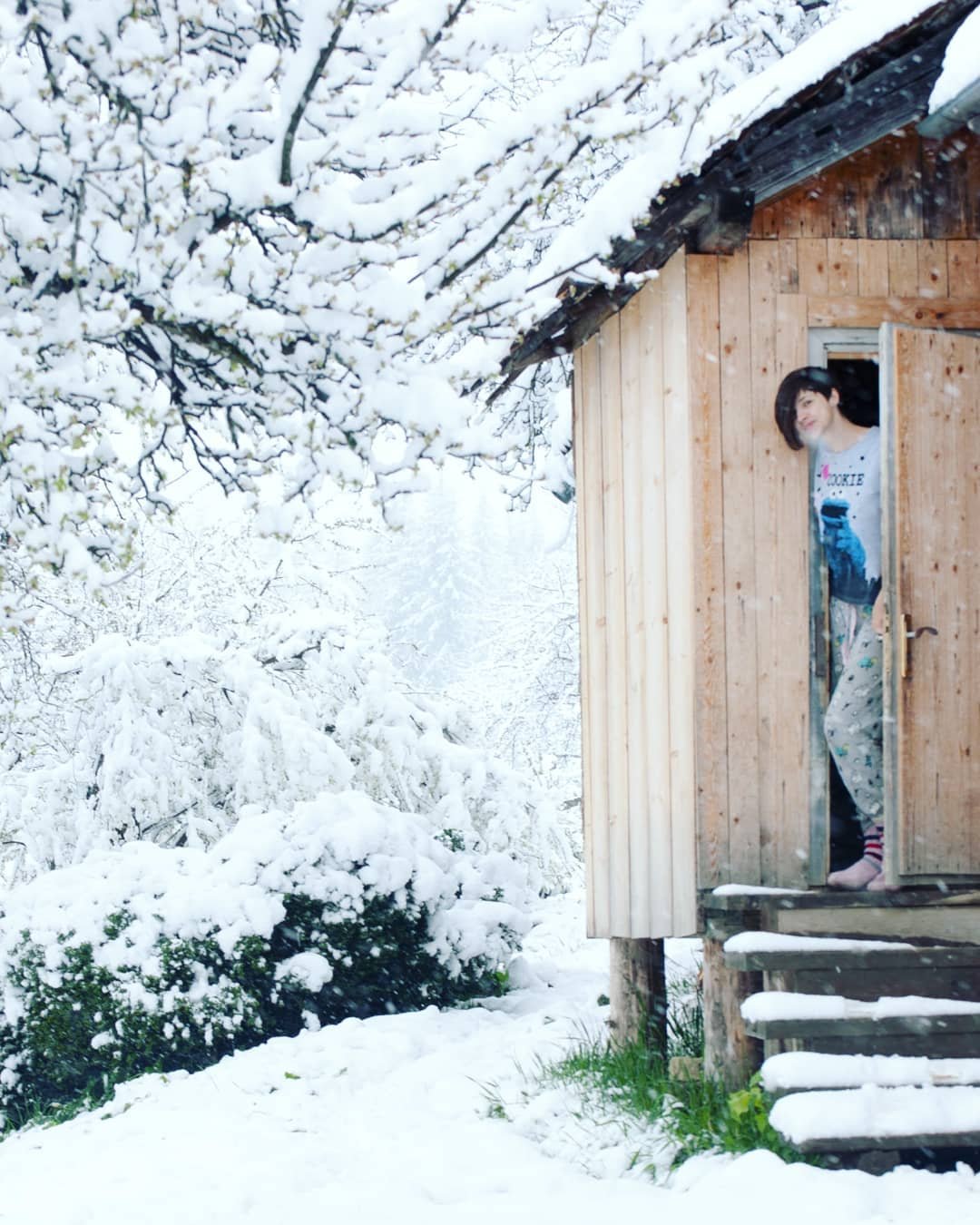 Для многих местных выпавший снег - это еще один повод остаться дома и провести день с близкими. Так, например, решила поступить @mavka_z_gorbiv