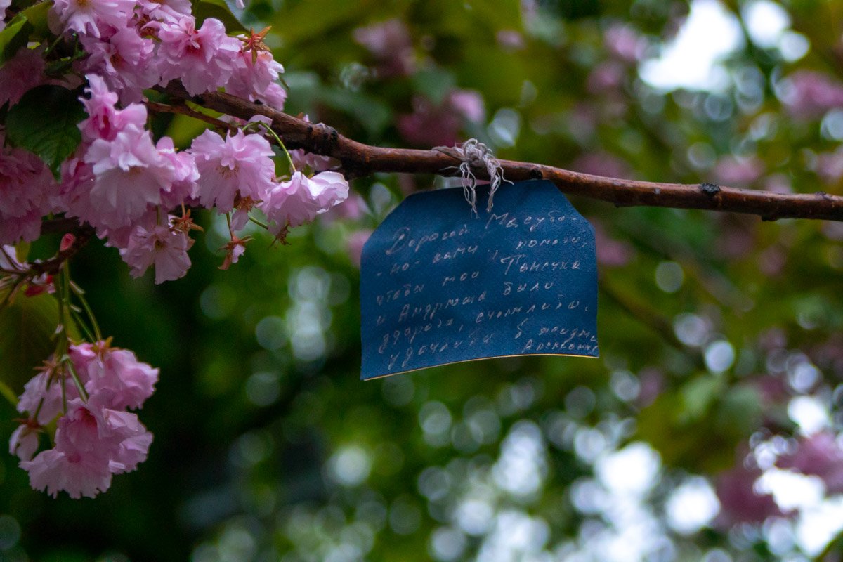 Тайные послания неизвестному адресату...