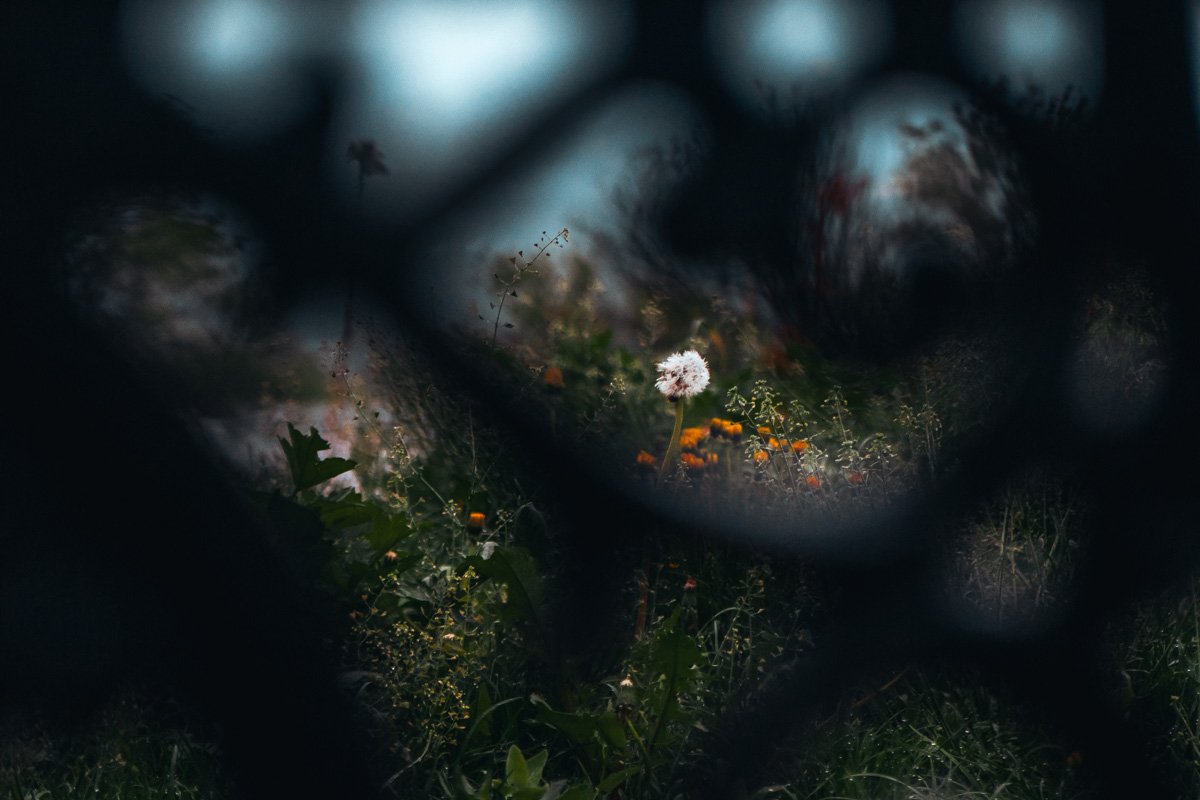 Смотрите на все сквозь призму, под другим углом может быть лучше