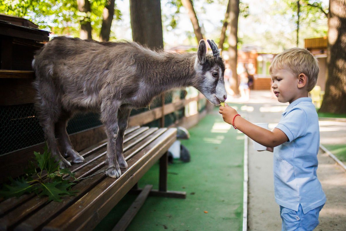 Экспоцентр предлагает развлечения для любого возраста Экспоцентр предлагает развлечения для любого возраста