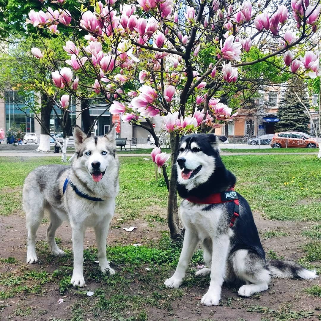 Фото: @vitalina999