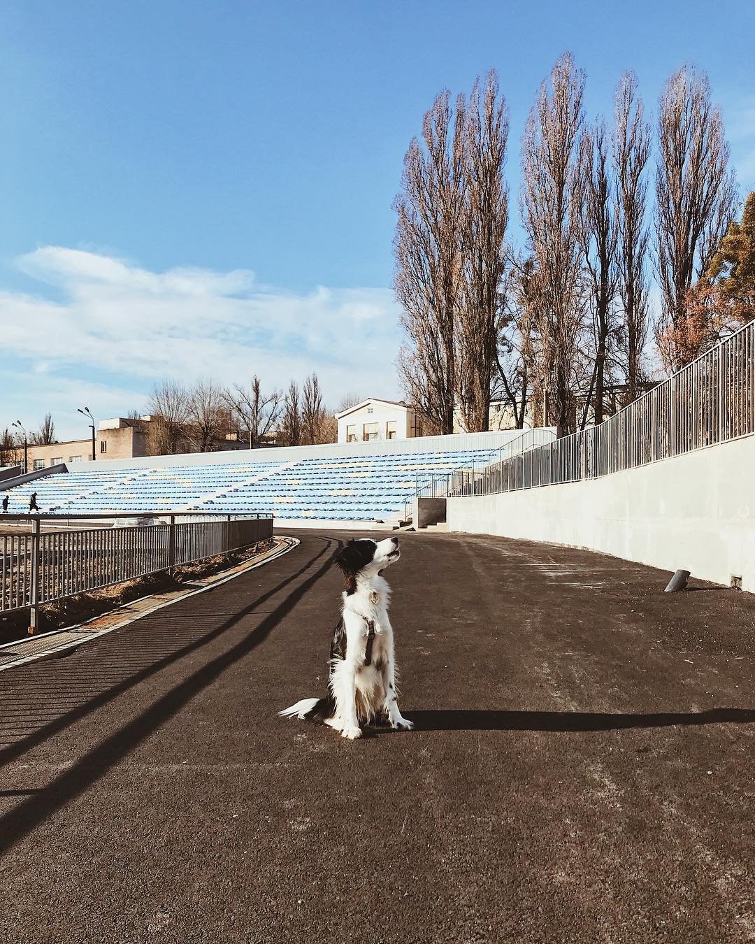 Фото: @solya.fasolya