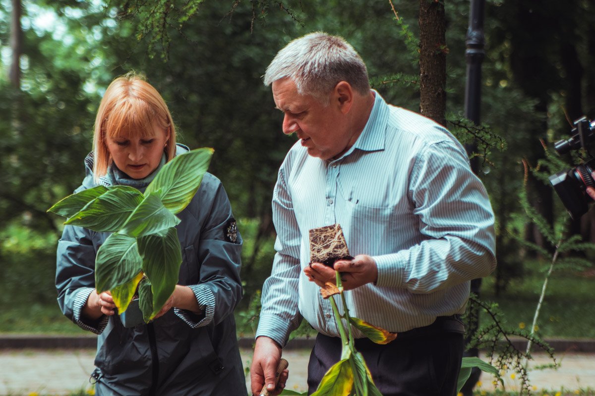 Подобные мероприятия уже проводились, украинские звезды и деятели высаживали саженцы деревьев в различных зеленых зонах Киева