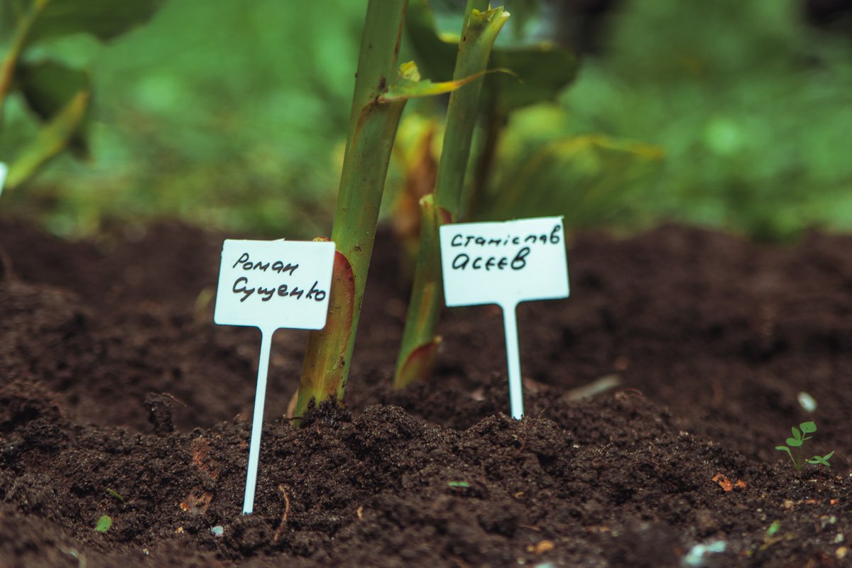 Официально заложниками Кремля являются 128 человек, но организаторы сообщили, что на самом деле их значительно больше