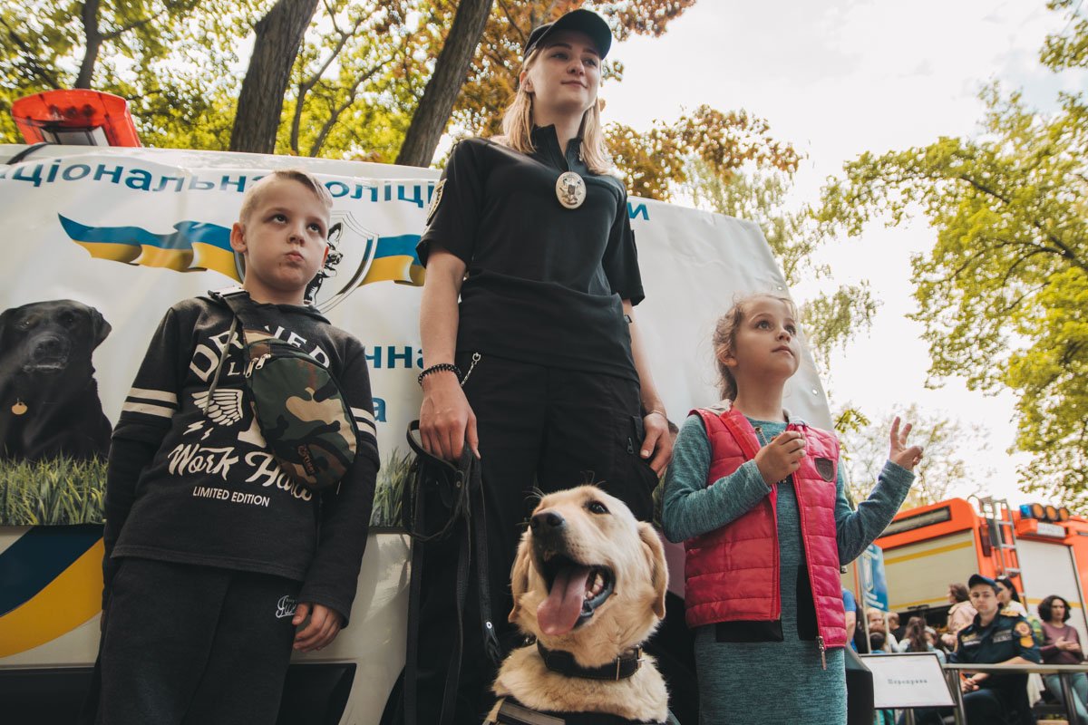 Полицейские собаки оказались очень дружелюбными 