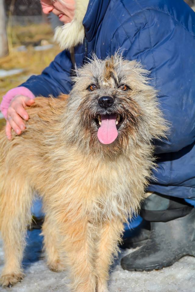Жюля - как Карлсон: в меру упитана, хорошая собой и готова сделать ваши будни праздником Жюля - как Карлсон: в меру упитана, хорошая собой и готова сделать ваши будни праздником