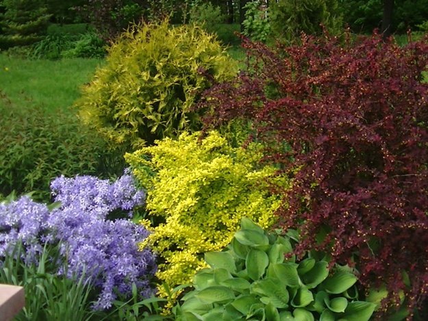 Гармоничное переплетение музыки и литературы точно придется вам по душе 