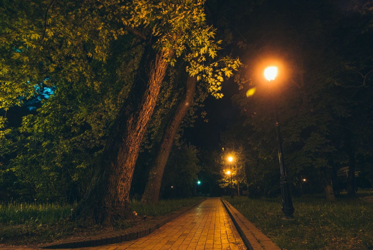 Впереди же - только бесконечная прогулка под сенью деревьев и в свете фонарей