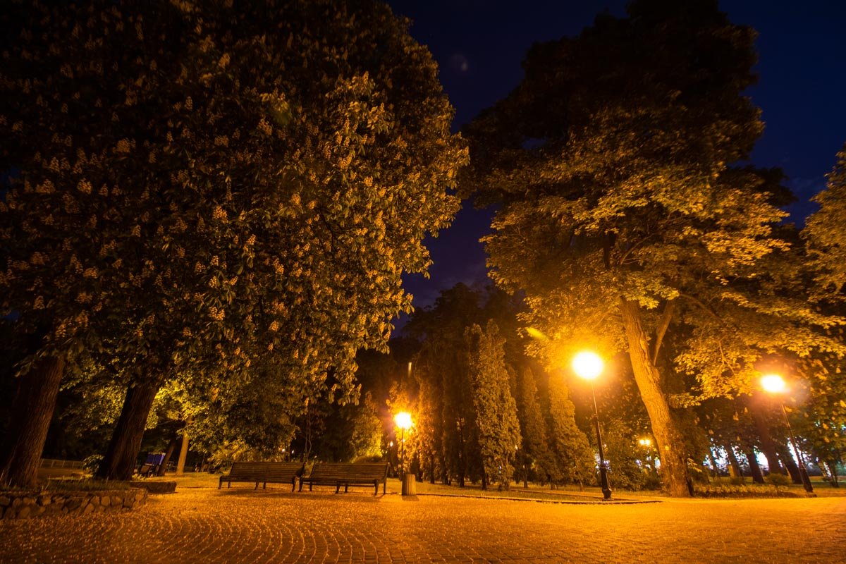 Если же тебя одолевает усталость или хочется погрузиться в думы, навеянные свежим и бодрящим воздухом вокруг - к твоим и только твоим услугам все скамейки мира