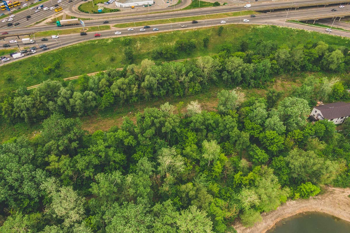 К тому же зеленые насаждения уже настраивают на правильный лад