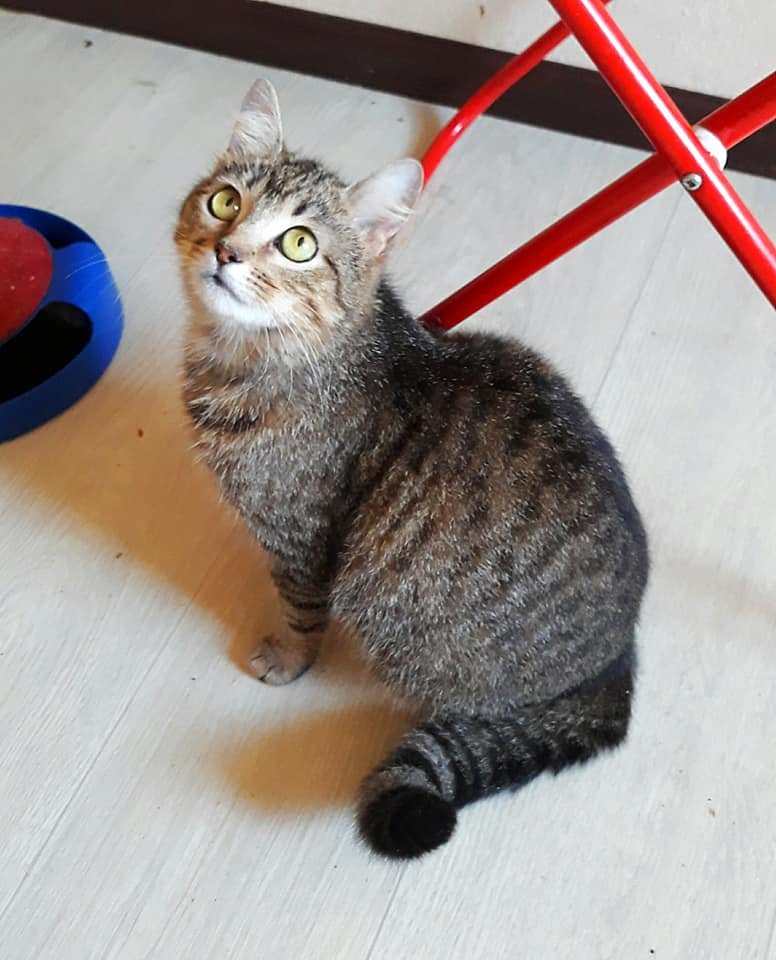 Глазастенкая Кася мечтает потопить вас в море нежности и ласки