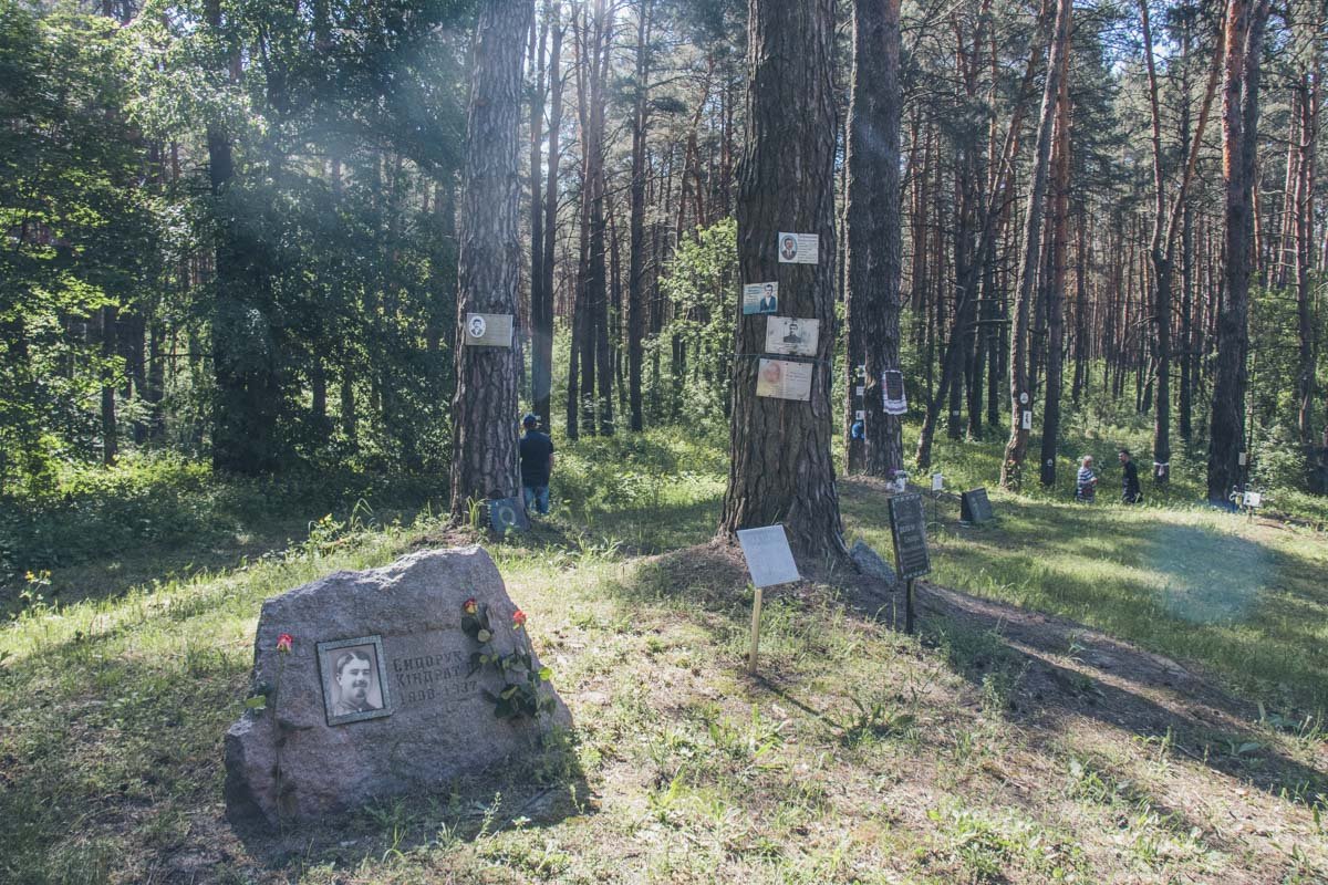 На территории Быковнянского леса в 1937-1941 годы советская власть тайно хоронила жертв репрессий На территории Быковнянского леса в 1937-1941 годы советская власть тайно хоронила жертв репрессий