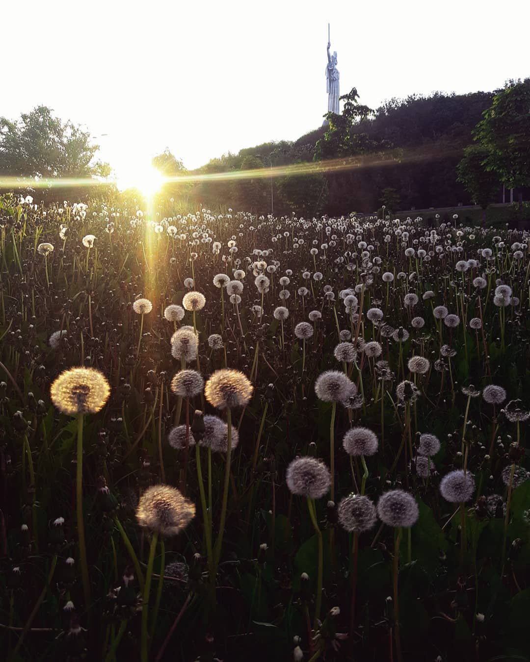 Весна пришла, а вместе с ней - такие вот яркие, почти пасторальные снимки в социальных сетях. Фото: @istetsen