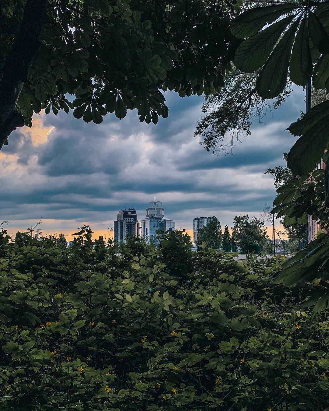 Ну а этот снимок - словно сочетание двух предыдущих, объединивший все лучшее от каждого из них. Фото: @zhukevych