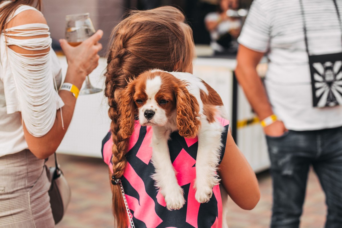 Придумайте подпись сами! :)