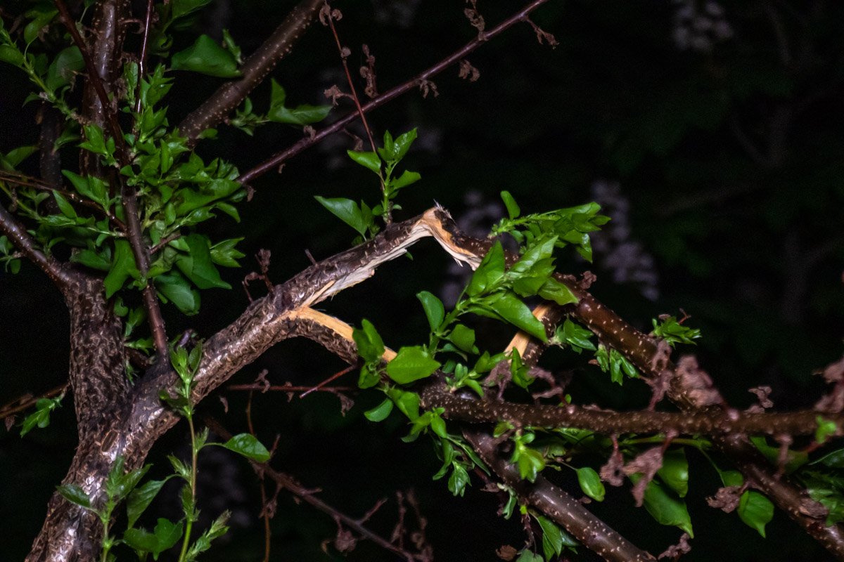 Погибший до этого уже пытался свести счеты с жизнью