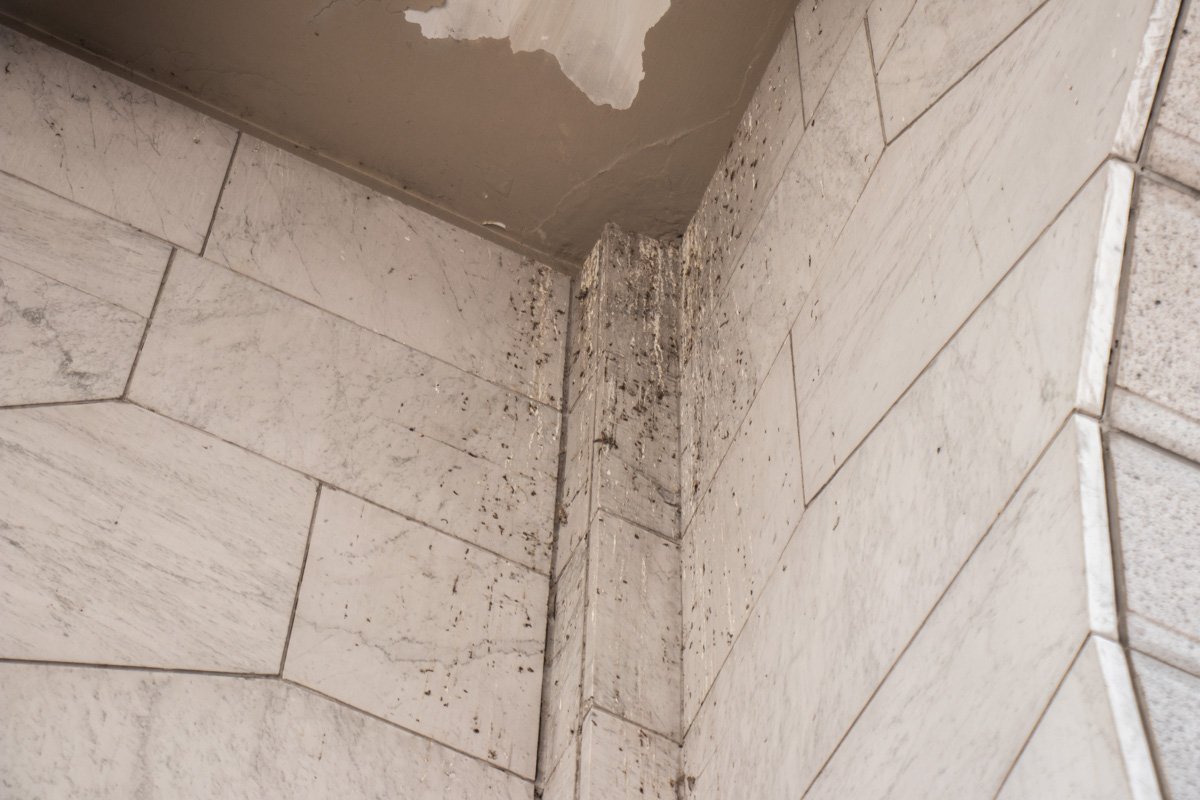 На основании памятника осела пыль и грязь На основании памятника осела пыль и грязь