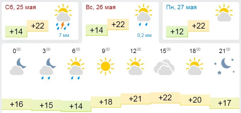 Погода на День Киева по данным Gismeteo