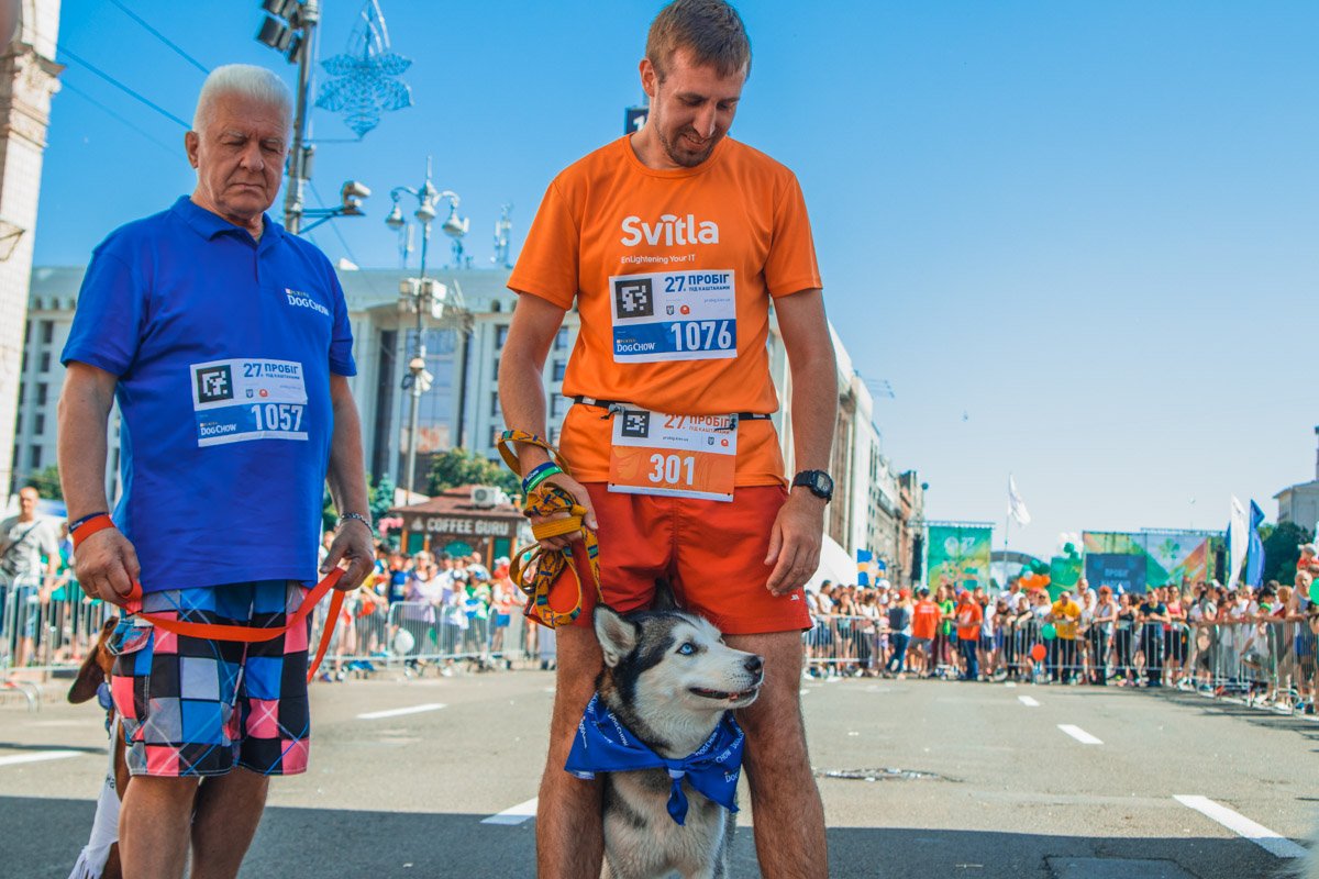 Такие кадры очень умиляют