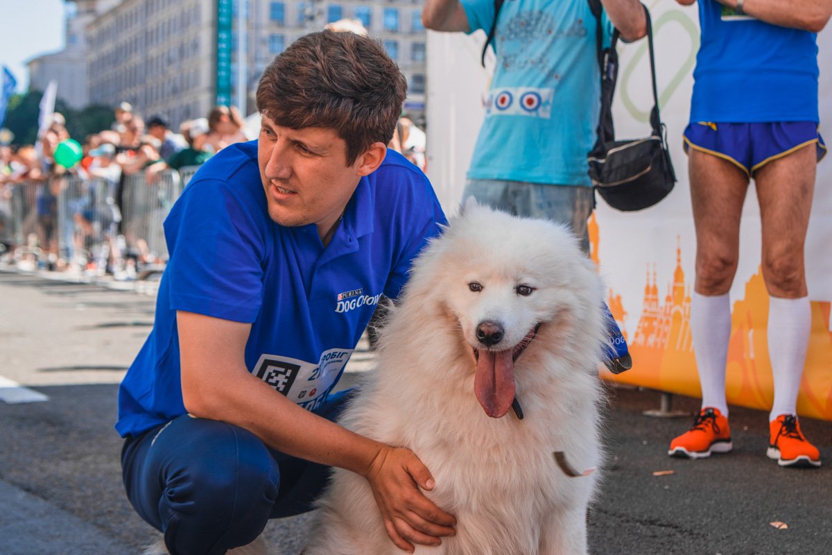 Пушистику очень жарко