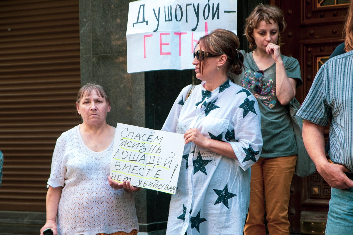 Во второй половине акции участие также приняли и зооактивисты