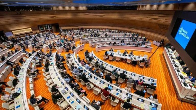 Решение о включении игрового расстройства в список болезней было принято на очередном заседании ВОЗ Решение о включении игрового расстройства в список болезней было принято на очередном заседании ВОЗ