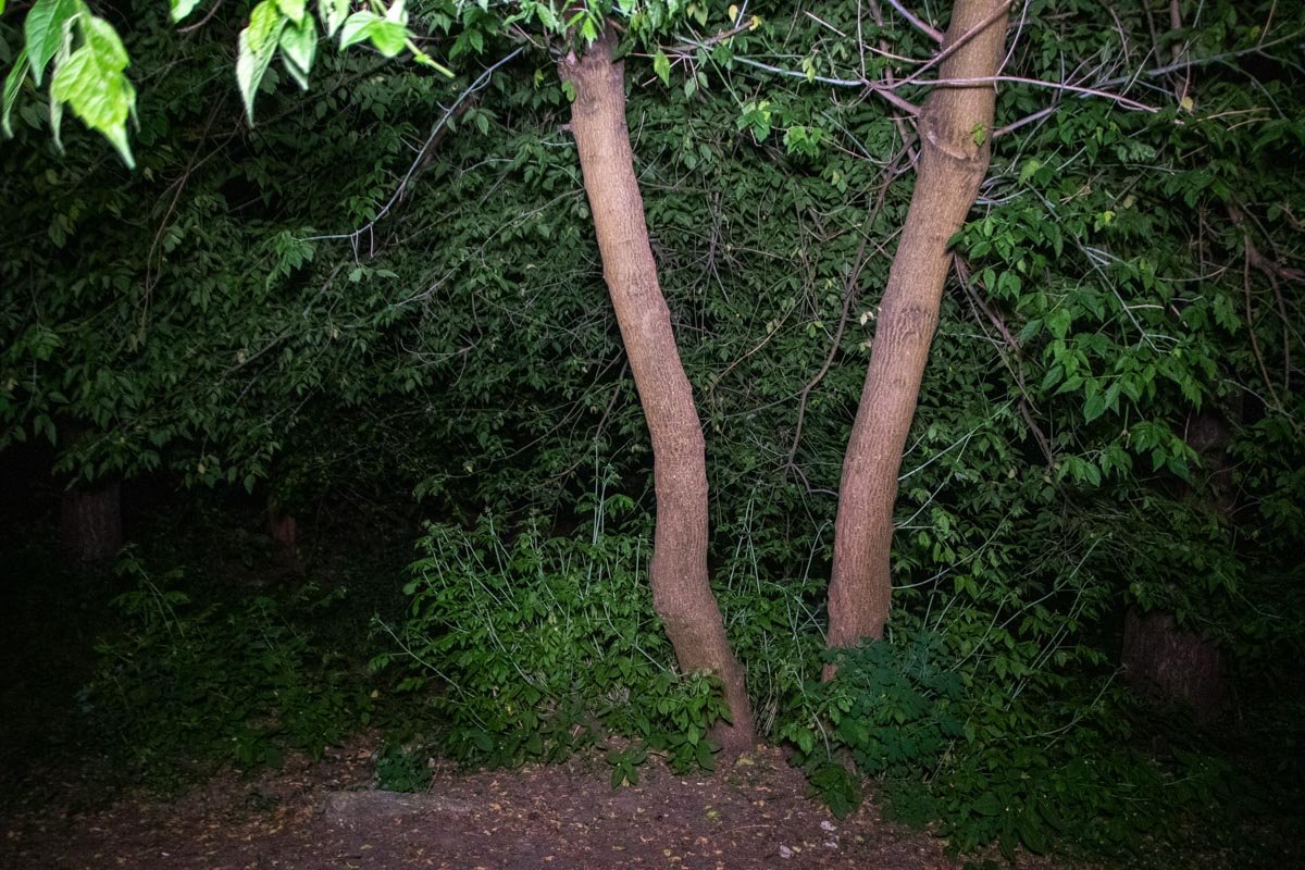 В Киеве недалеко от адреса улица Бориспольская, 37 обнаружили труп мужчины В Киеве недалеко от адреса улица Бориспольская, 37 обнаружили труп мужчины