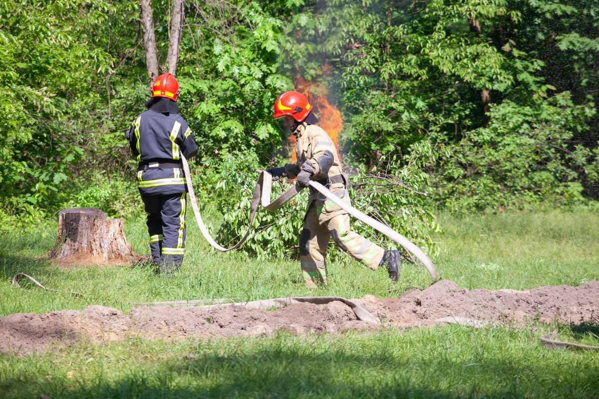 В лесах Киева установили камеры: кто и зачем 1