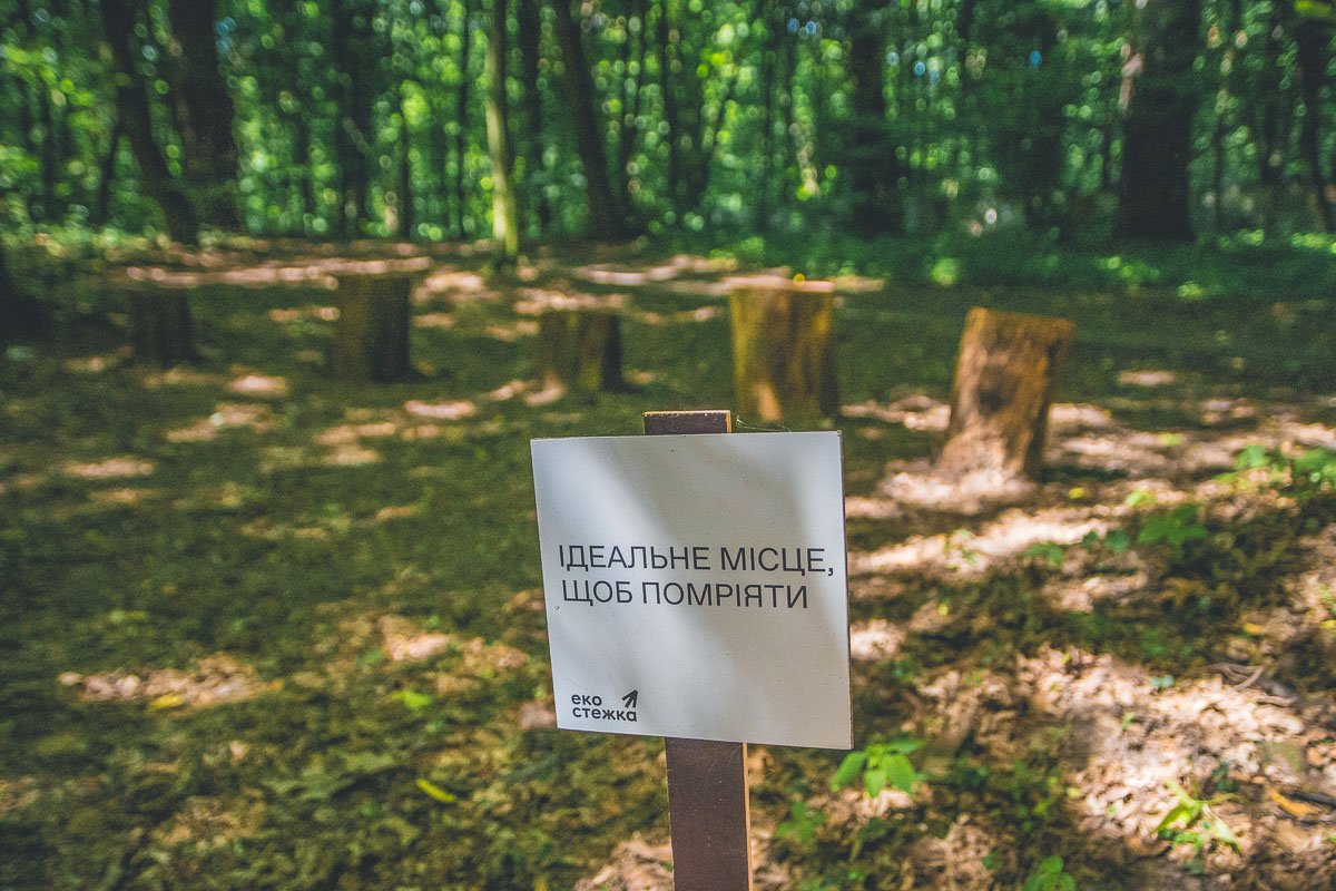 На пути маршрута для вас подготовили места для отдыха. В экозоне действительно хочется помечтать