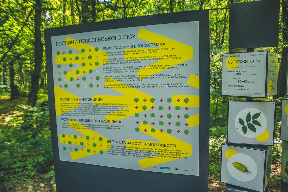 Стенды рассказывают о местности, где вы находитесь. Кроме того они интерактивны, их можно покрутить и, например, собрать листья и плоды какого-то дерева