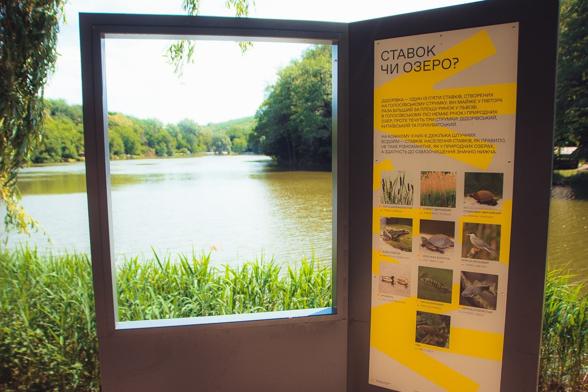 Экотропа ведет через ставок 