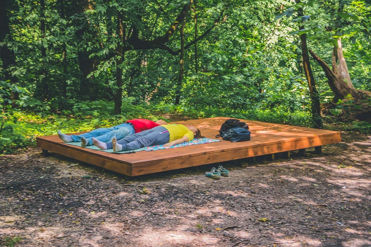 Экотропинка ведет площадку для занятия йогой 