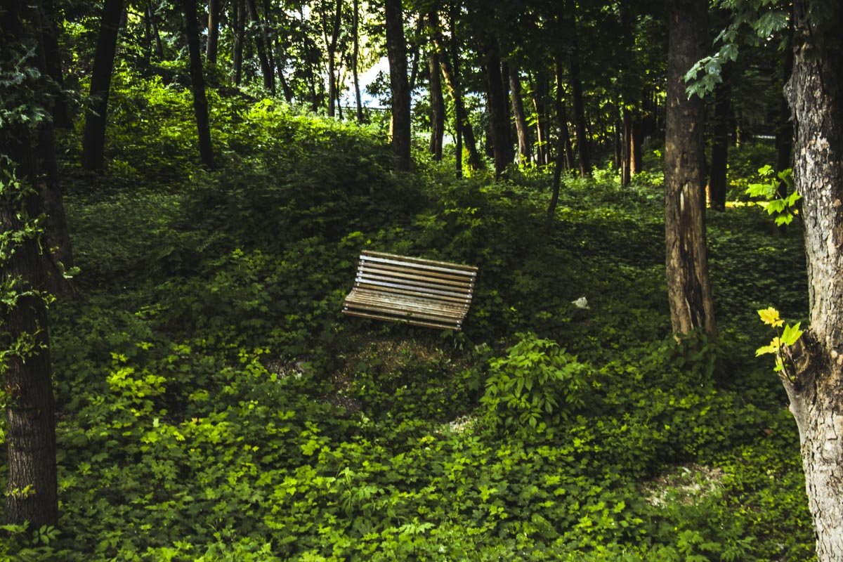Забытая старая лавочка рядом с аллеей Забытая старая лавочка рядом с аллеей