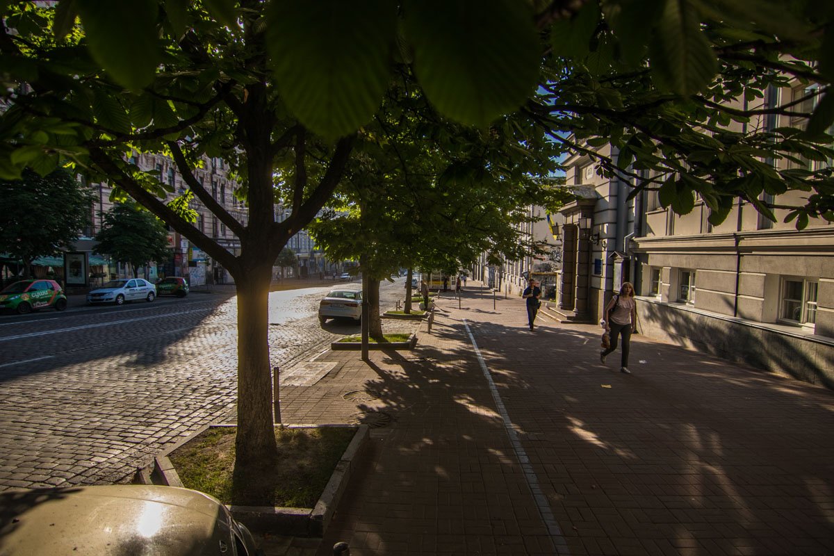 Локацию также планируют озеленить, высадив новые деревья Локацию также планируют озеленить, высадив новые деревья