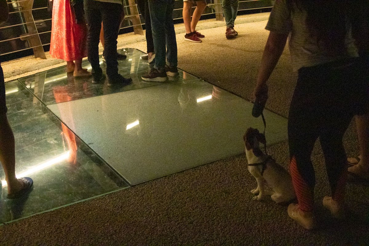 Одна из секций стеклянного пола повредилась в пятницу, 31 мая, около 22:40 Одна из секций стеклянного пола повредилась в пятницу, 31 мая, около 22:40