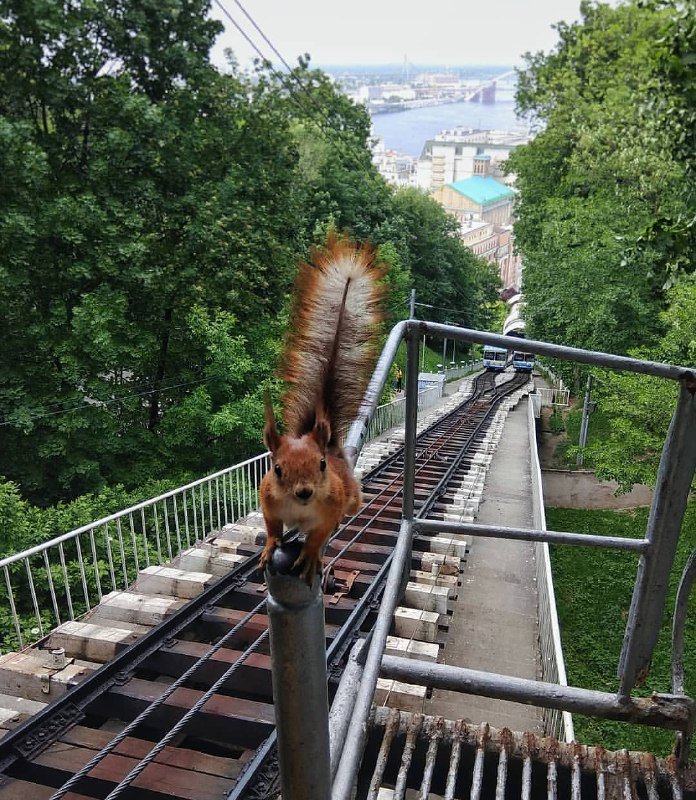 О. привет :) Фото: @ruchanyutka О. привет :) Фото: @ruchanyutka