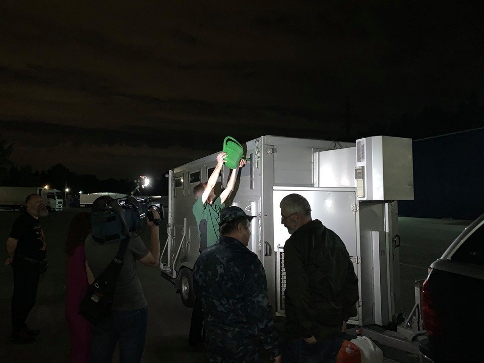 Малыш по прозвищу Хипполит приехал из Франции