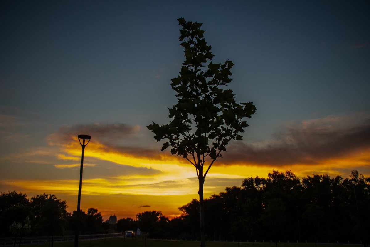 Небо как чистый лист, на котором природа рисует сказочные огненно-облачные узоры Небо как чистый лист, на котором природа рисует сказочные огненно-облачные узоры