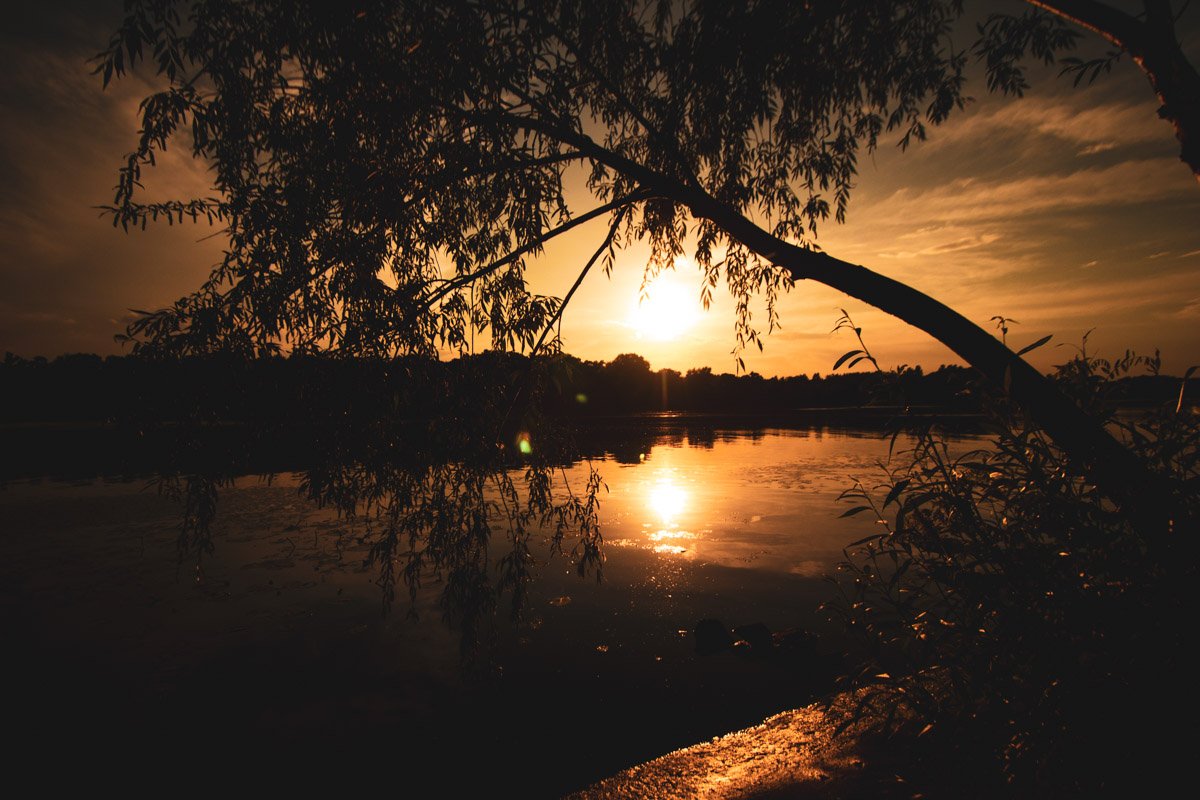 Всегда можно найти уголок, где комфортно и сердцем, и душой Всегда можно найти уголок, где комфортно и сердцем, и душой