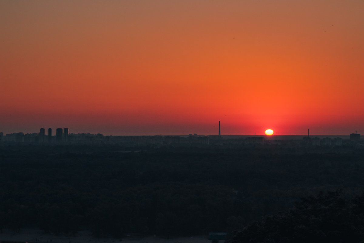 Оно живет само по себе