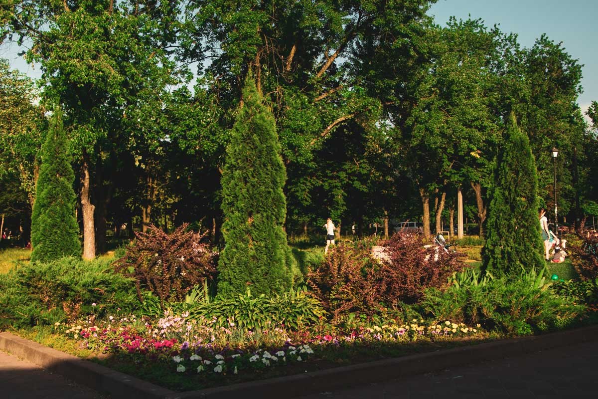 Зеленая зона находится в Днепровском районе столицы