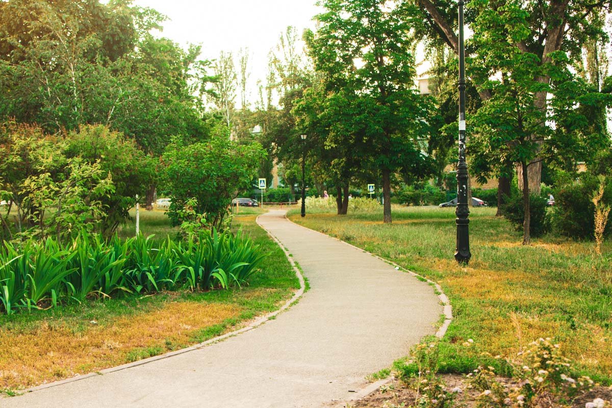 Это любимое место для отдыха жителей ближайших домов