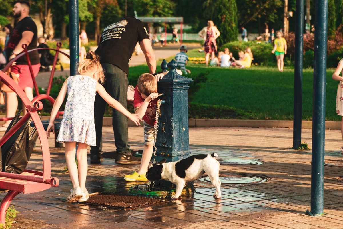 В парке есть артезианский источник